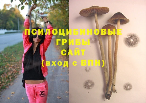 тгк Волосово