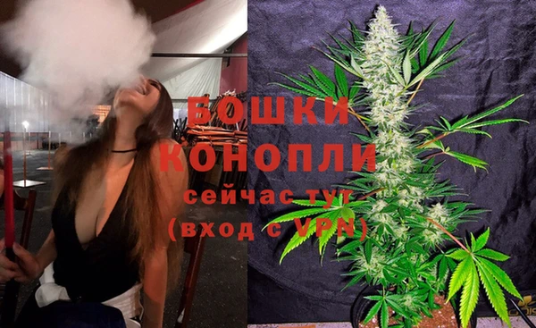mdpv Волоколамск