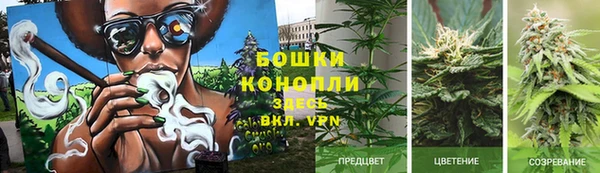 mdpv Волоколамск